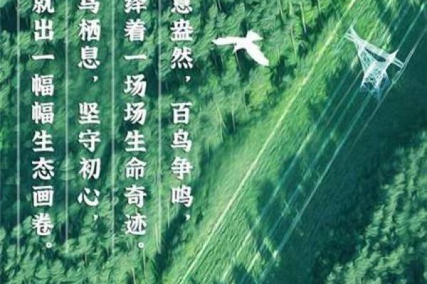 丁未天河水命：缺什么才能找回生命的平衡与和谐？