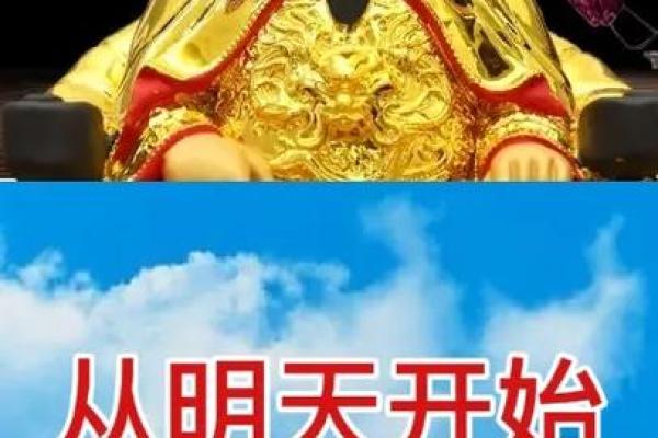 2023年属鸡的命运分析：步步高升的一年！