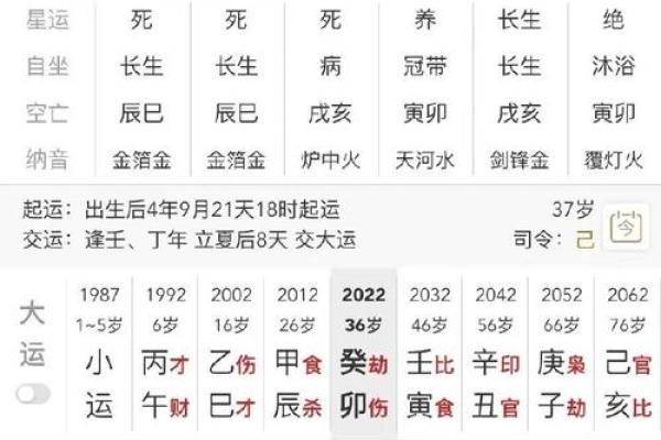 解析甲申丁卯命格：八字命理的奥秘与人生启示
