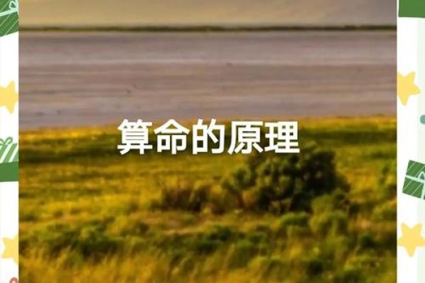 1977年出生的人命缺什么：揭秘命理与人生的奥秘