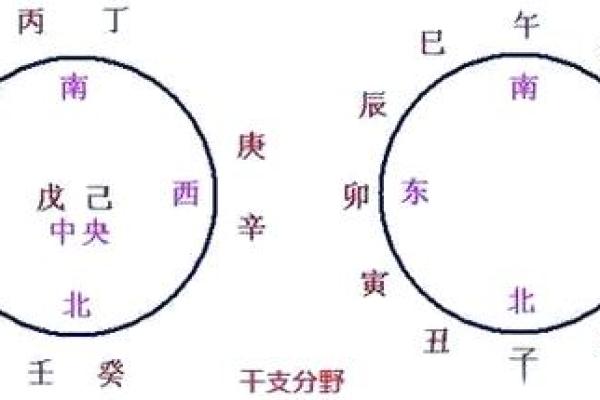 2015年出生的孩子命运解析：如何解读他的五行八字与未来发展