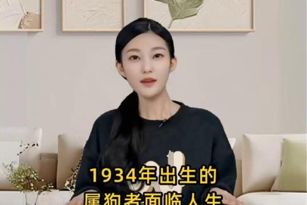 1940年属狗的命运与性格分析：揭秘命理智慧