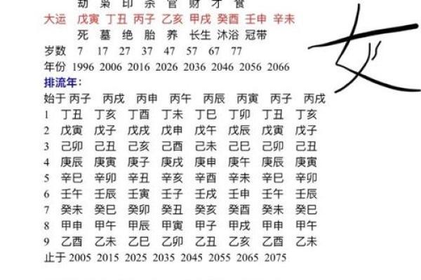 己亥年正月十六的命理解析与生活指导