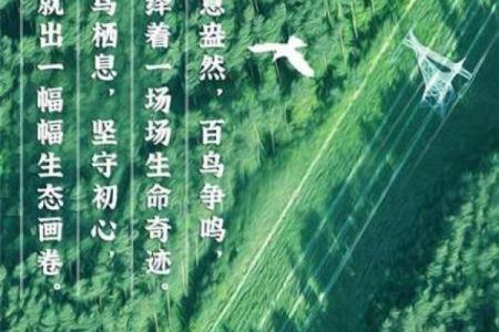 丁未天河水命：缺什么才能找回生命的平衡与和谐？