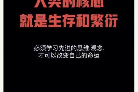 子时出生的人命运解析：潜力与挑战共存的神秘之旅