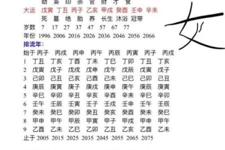 己亥年正月十六的命理解析与生活指导