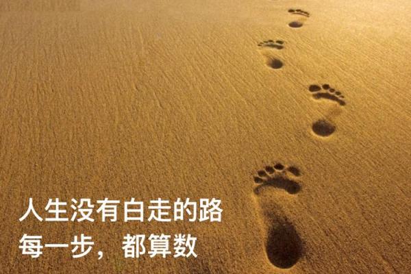 北斗满命：揭示人生的秘密与潜能的钥匙