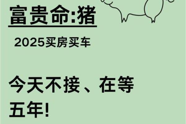1982年属猪：活泼快乐，乐观向上的人生旅程
