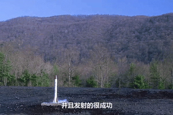 属猪男孩，命运之钥：开启人生成功的神秘密码