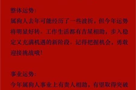 探秘84属狗水命的命理特征与生活智慧