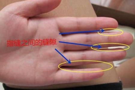 中指的形状与命运之谜：解读手指背后的秘密