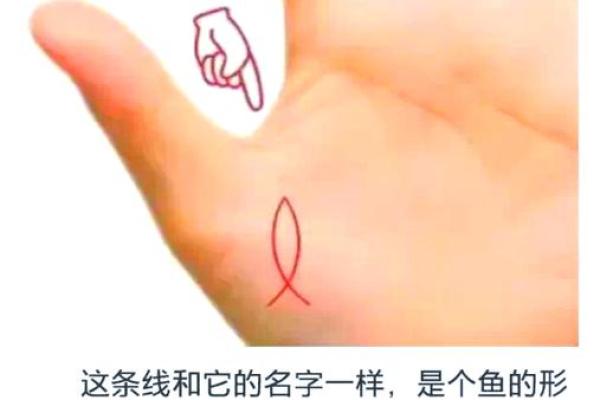 手相揭秘：最厚实的命运之路，女性的幸运密码！