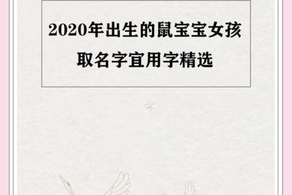 鼠年女宝宝的命运解析：适合的名字与性格特征