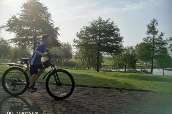 2015年马年命运解析：骑行在事业与爱情之路上的星辰大海