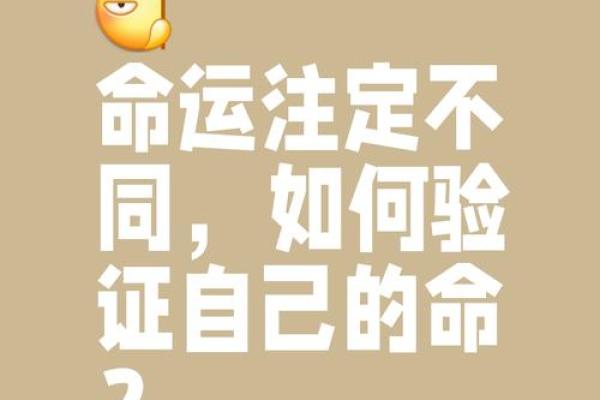 算命不信命，信命不算命：揭开命运的神秘面纱