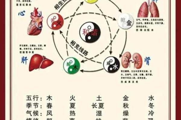 1990年属马的水命解析：流淌于岁月中的生命之水