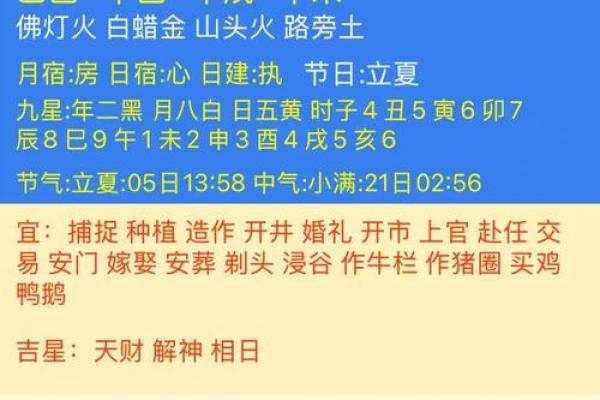 解析甲戌日己巳时：探索命理中的天干地支奥秘