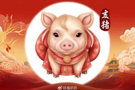 2019年生肖分析：天生什么命，命运掌握在你手中！