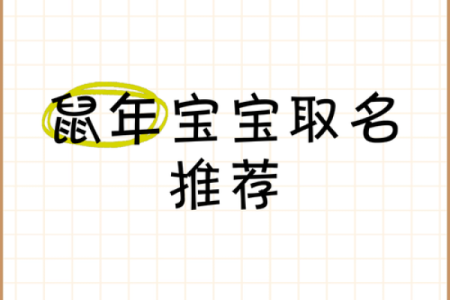 鼠年女宝宝的命运解析：适合的名字与性格特征