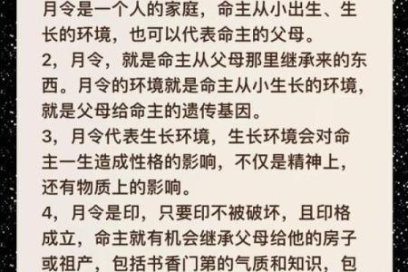 揭秘1978年出生的马命：命理与性格的深度分析