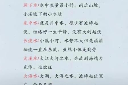 1996年6月出生的男生命运揭秘：八字与性格的奥秘