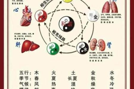 1990年属马的水命解析：流淌于岁月中的生命之水