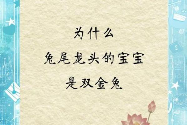 兔宝宝的命运解析：2023年出生的兔子之命运与特点