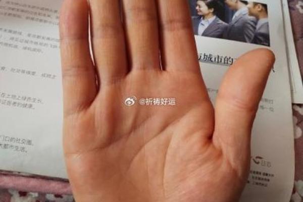 骨节短手指粗的人生命运解读：性格与命运的奇妙关联