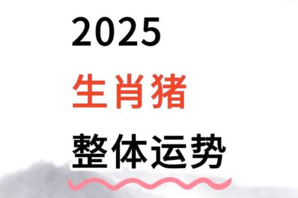 属猪命缺什么颜色车？了解你的幸运色与选择技巧！