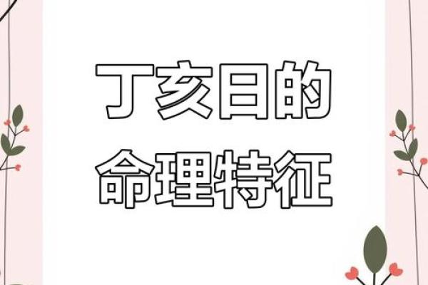 丁亥与甲寅：命理中的独特组合与人生启示