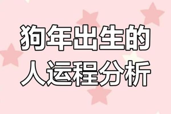 2023年属狗人的命运分析：机遇与挑战并存的旅程