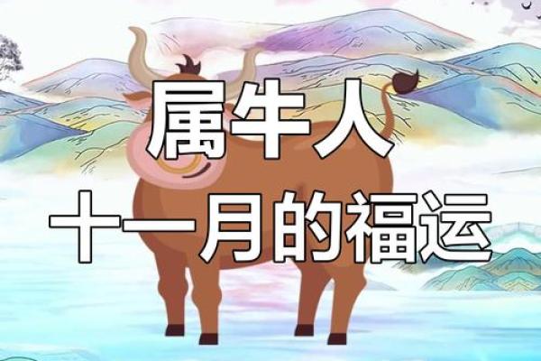 属牛的命年：牛年运势与生活智慧探讨