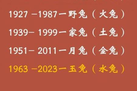 兔宝宝的命运解析：2023年出生的兔子之命运与特点