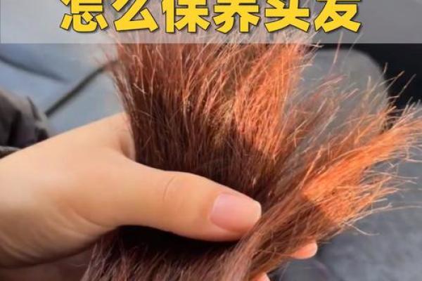 粗发的命运：解密发质与人生的微妙联系