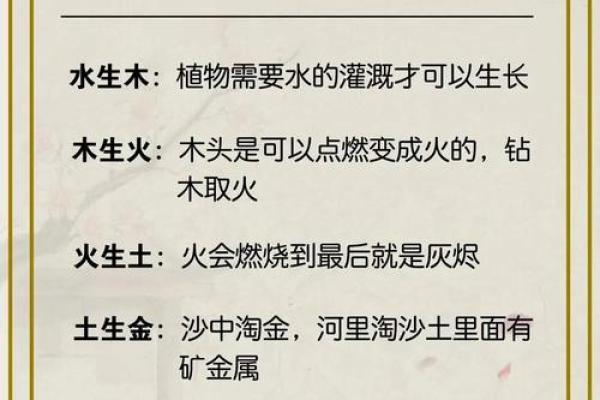 2023年男宝宝命运解析：解读五行与命理的奥秘