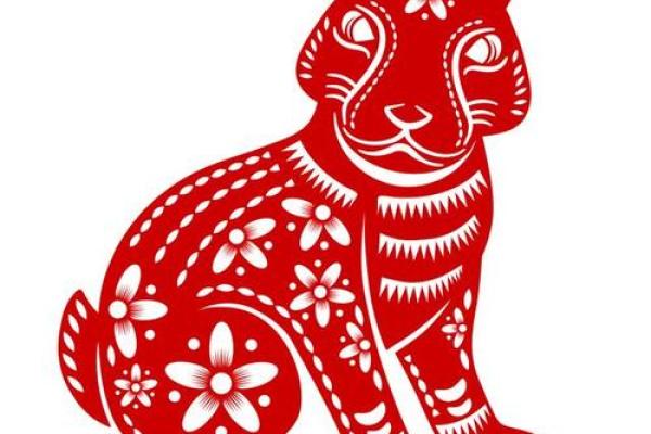 兔年生肖运势解析：哪些生肖命运多舛，需格外留意？