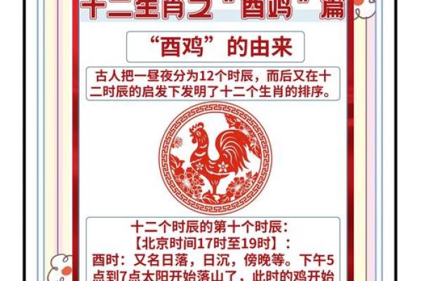 属鸡人11月出生的命理解析与人生走向