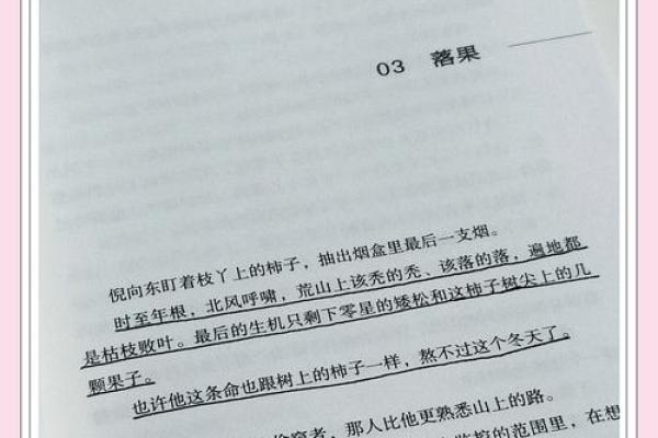 命书中的运气解析：揭开人生旅程的神秘面纱