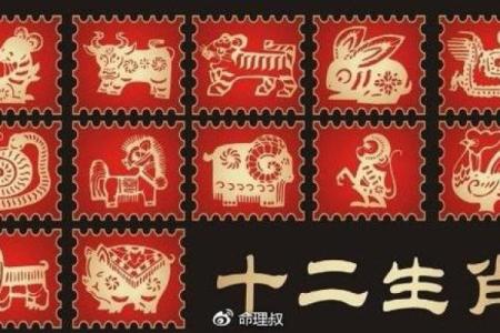 猴年一九九儿：了解命理与运势的奇妙旅程