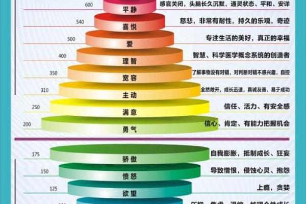 金命人的适合体格解析：让你的身体与命理相得益彰