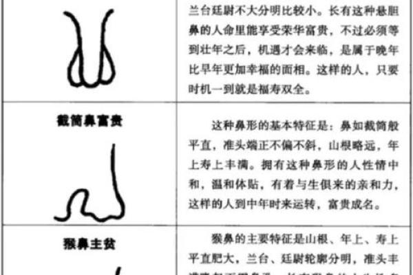 额头窄面相揭秘：如何通过面相读懂一个人的命运与性格