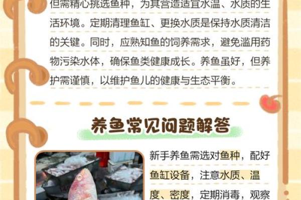 水命养鱼的秘笈：让你的鱼儿健康成长的秘诀