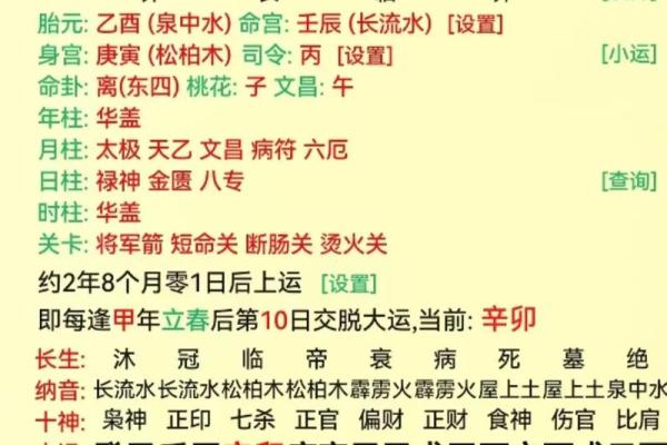 探究女命土旺的甲木命理特征与运势解析