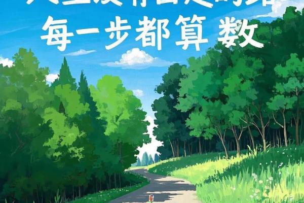 1969年出生的命理与人生旅程探讨