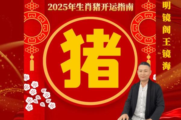 2011年属猪人命运分析：如何把握机遇与挑战