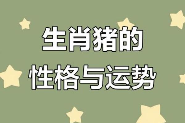 2011年属猪人命运分析：如何把握机遇与挑战