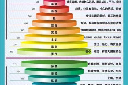 金命人的适合体格解析：让你的身体与命理相得益彰