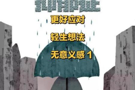 渐渐长大，人命何以为继？探索生命的意义与价值