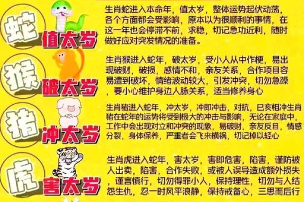 1991年羊年出生者的命运与性格解析