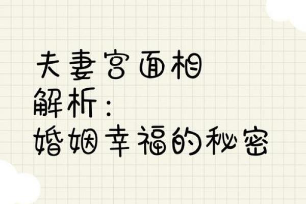 什么人什么命最好婚姻，揭示幸福婚姻的秘密